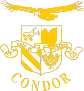 CONDOR_logo.png